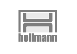 Hollmann